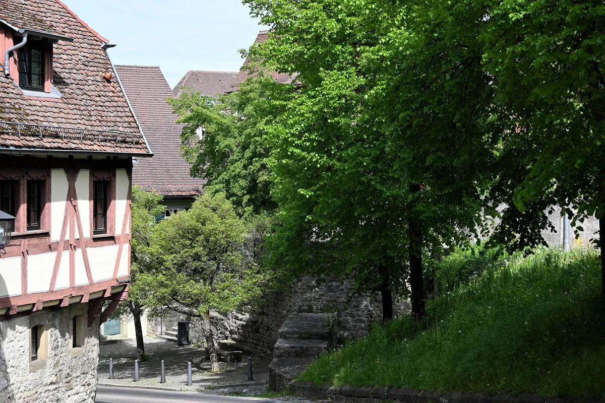 Steile Altstadtgasse mit Fachwerkhaus, alter Stützmauer und einer steinernen Freitreppe zwischen Bäumen bei Tageslicht